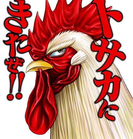 ROOSTER FIGHTER
