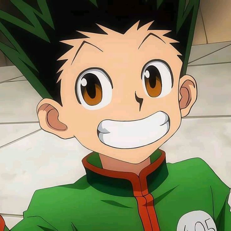 HUNTER X HUNTER